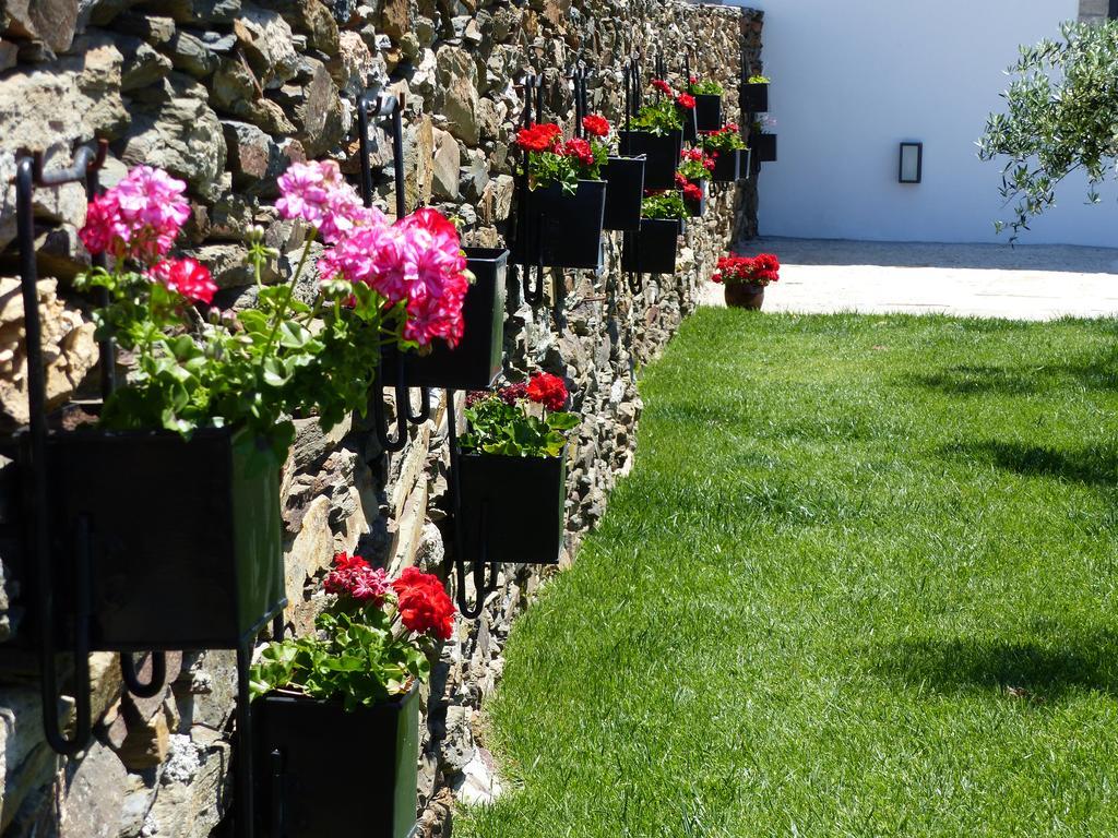 Casa Das Castas Wine Guesthouse Vermiosa Экстерьер фото