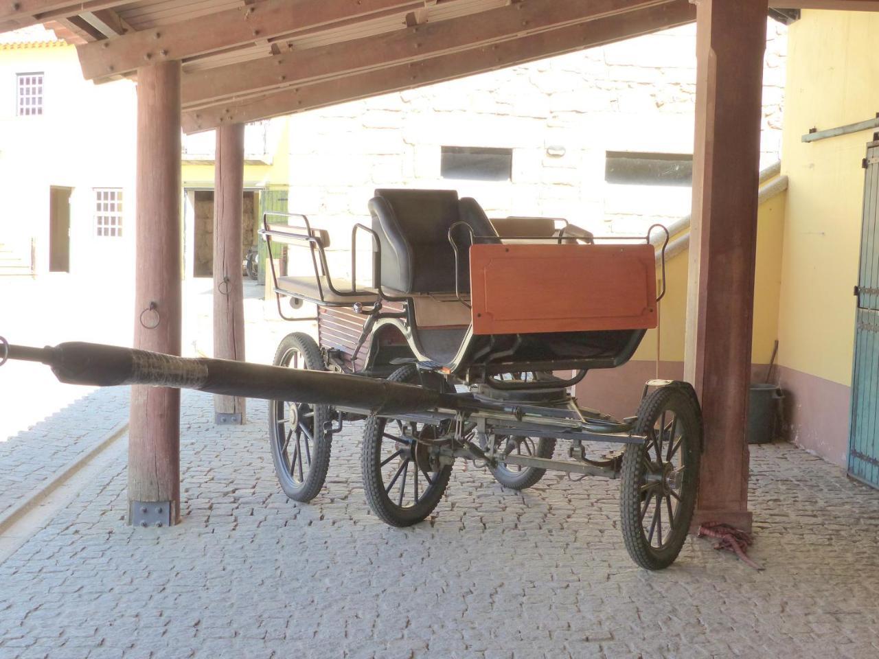 Casa Das Castas Wine Guesthouse Vermiosa Экстерьер фото